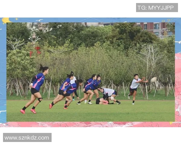 南京排球队的拼搏之路：城市联赛中的奋斗与荣耀