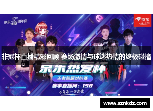 非冠杯直播精彩回顾 赛场激情与球迷热情的终极碰撞