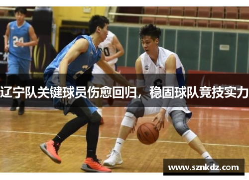 辽宁队关键球员伤愈回归，稳固球队竞技实力