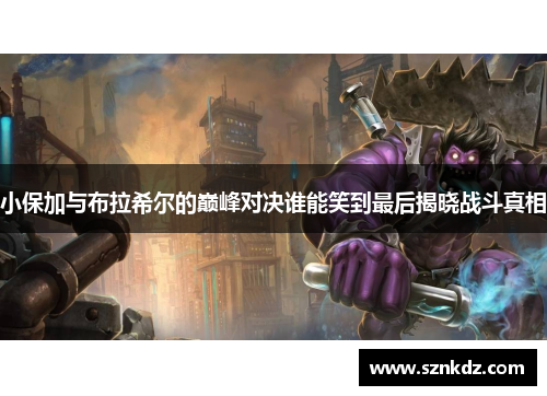小保加与布拉希尔的巅峰对决谁能笑到最后揭晓战斗真相